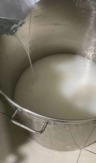 Heißer Verkauf Medical Dragon Skin Platin Silikonkautschuk für künstliche Brust Brüste Form